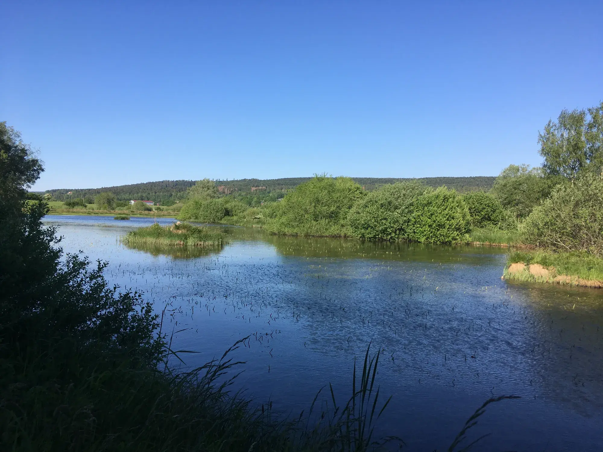 Étang aux eaux bleues dans la campagne jurassienne
